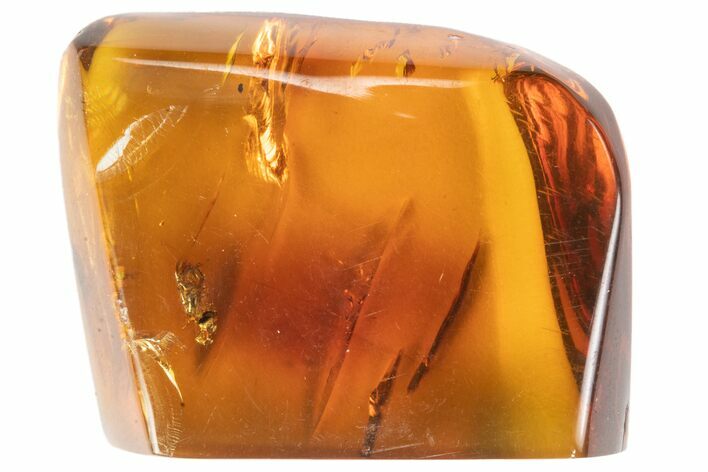 Polished Chiapas Amber With Bug Inclusions ( g) - Mexico #102482